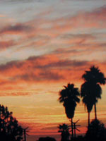 "Sunset" Mar Vista, CA