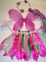Pink and Green Fairy